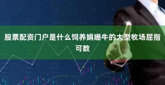 股票配资门户是什么饲养娟姗牛的大型牧场屈指可数