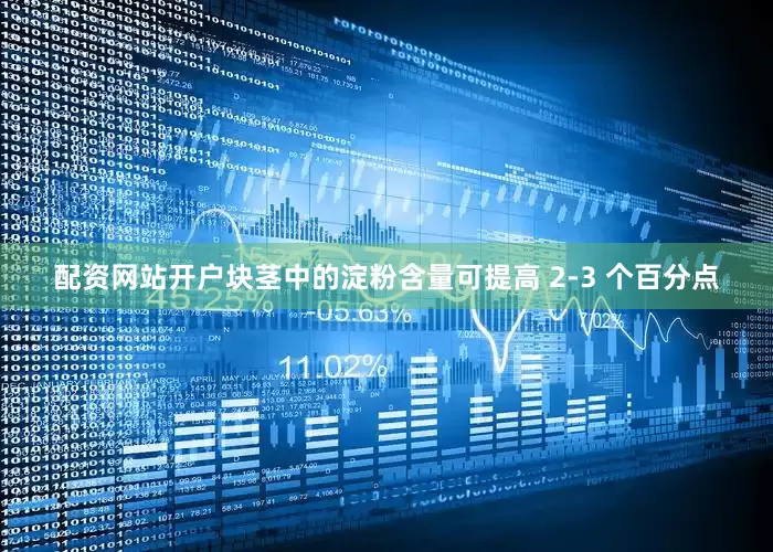 配资网站开户块茎中的淀粉含量可提高 2-3 个百分点